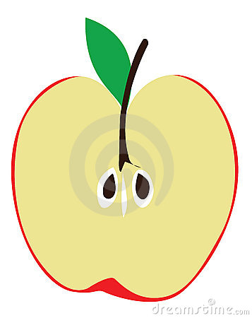 357x450 Cut In Half Clipart Clip Art Apple