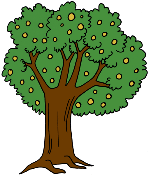 511x600 Ct Apples For Kids