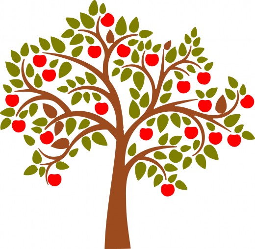 520x508 Tree Apple Orchard Clipart