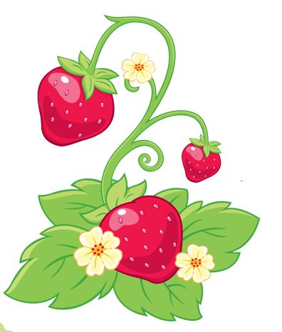 396x467 496 Best Fruit Clip Art And Photos Images On Fruit