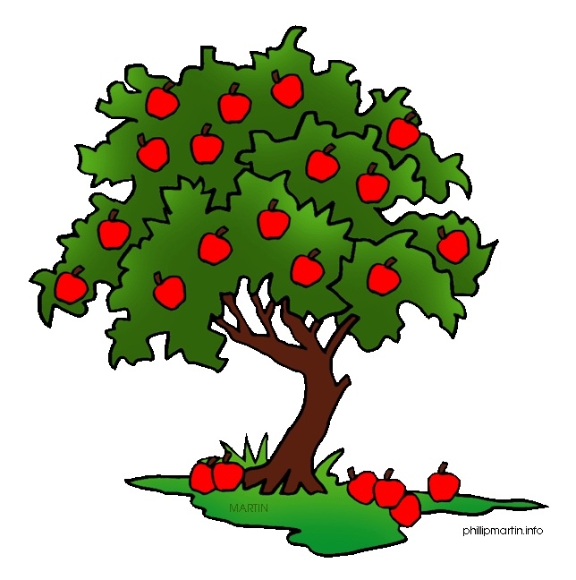 644x648 Great Of Apple Tree Clipart Transparent