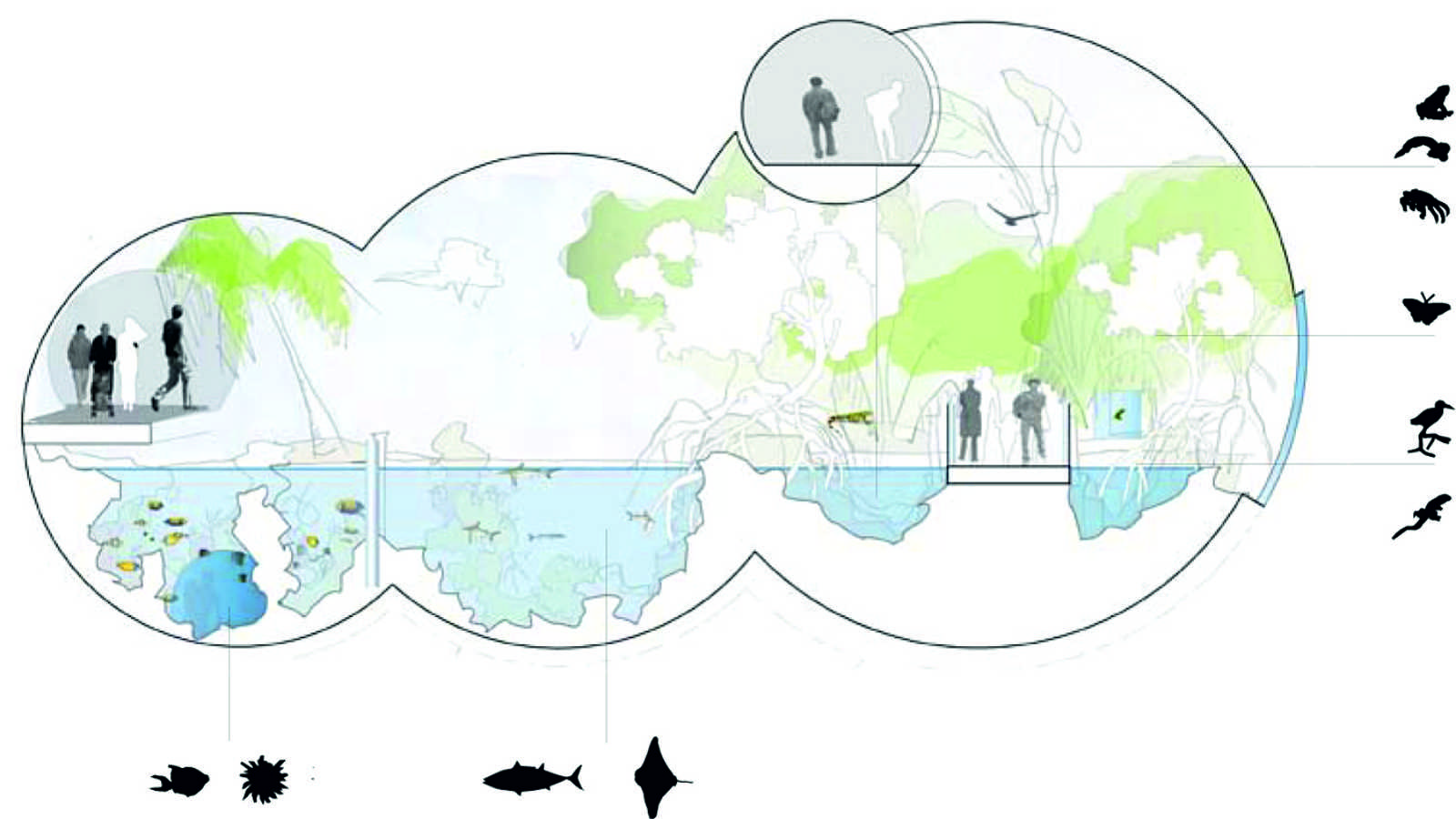 1600x900 Zoo Clipart Aquarium