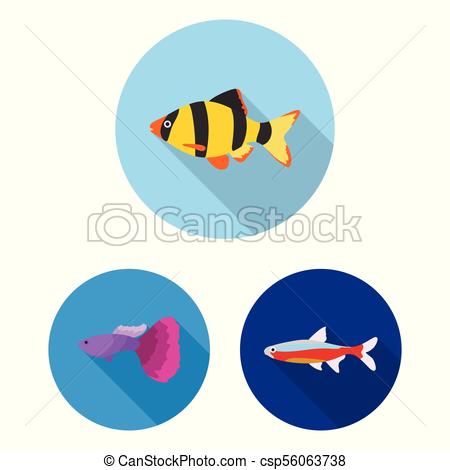 450x470 Different Types Of Fish Flat Icons In Set Collection