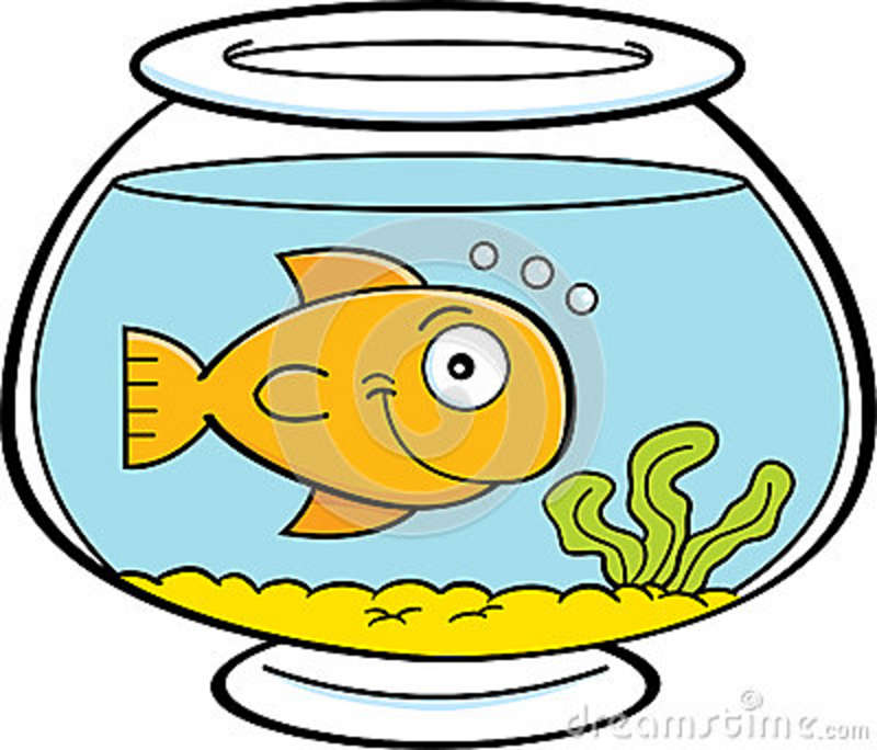 800x684 Fish Tank Clipart