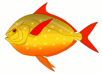 340x247 Free Aquarium Fish Clipart, 2 Pages Of Public Domain Clip Art