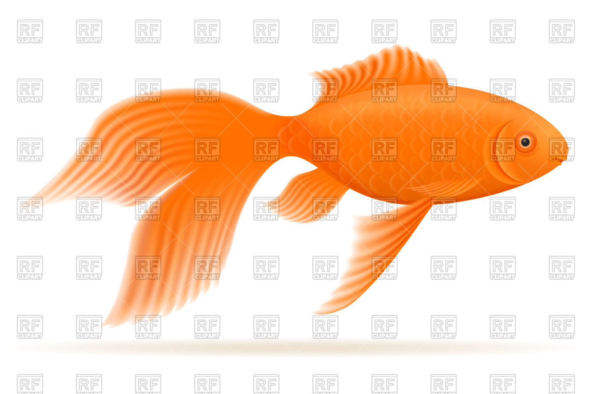 1200x800 Gold Aquarium Fish Royalty Free Vector Clip Art Image