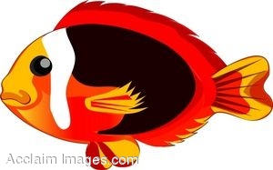 300x187 Clipart Of Tropical Fish