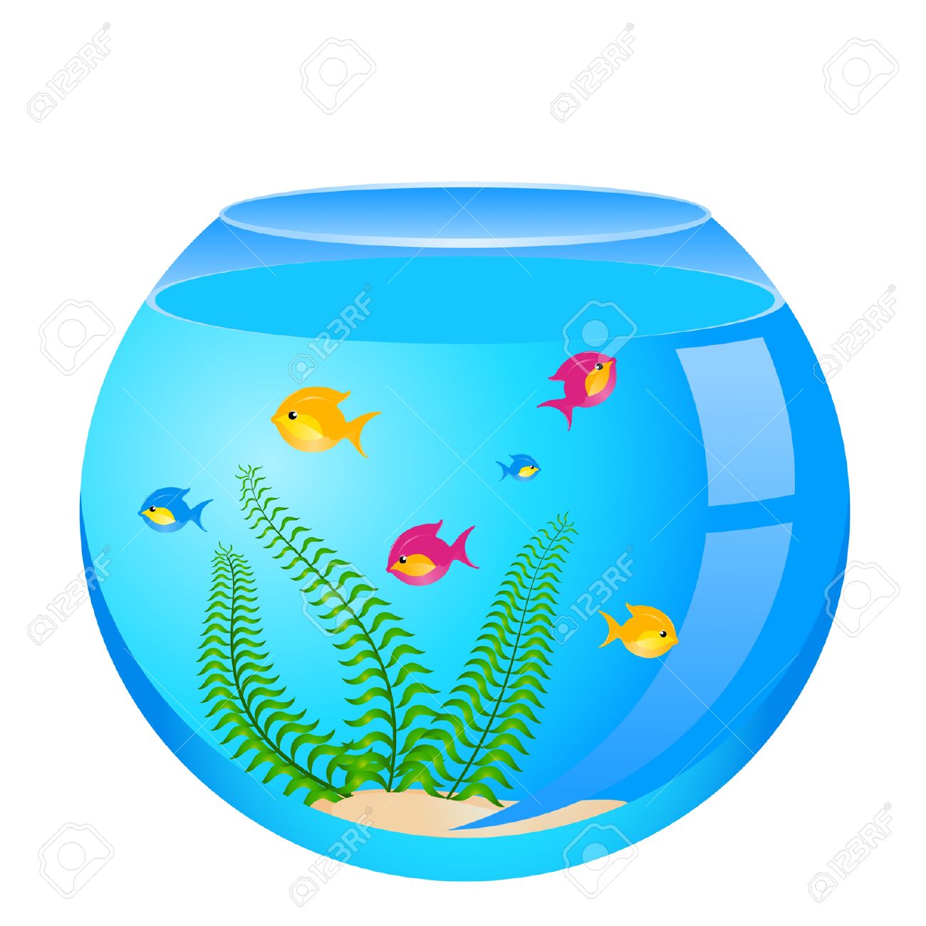 Aquarium Fish Clipart at GetDrawings.com | Free for personal use