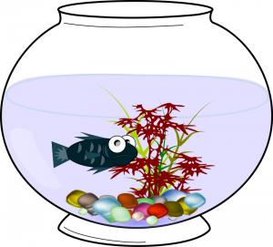 300x271 Aquarium Fish Clip Art Download