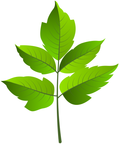 414x500 Leaf Green Png Clip Ar Leaves And Clip Art