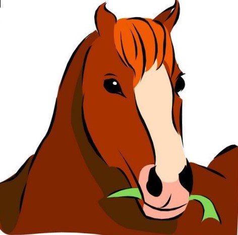 472x465 Pictures Of Horse Heads Clip Art