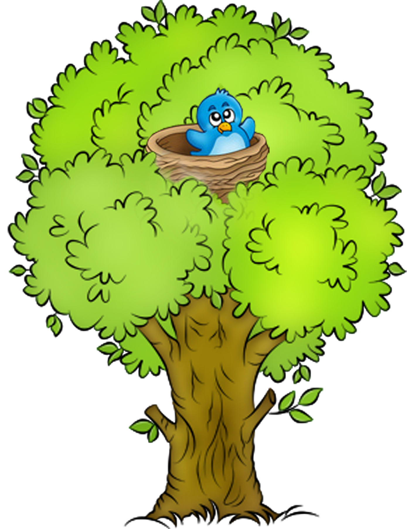 1389x1805 Orange Png Nature Clip Art