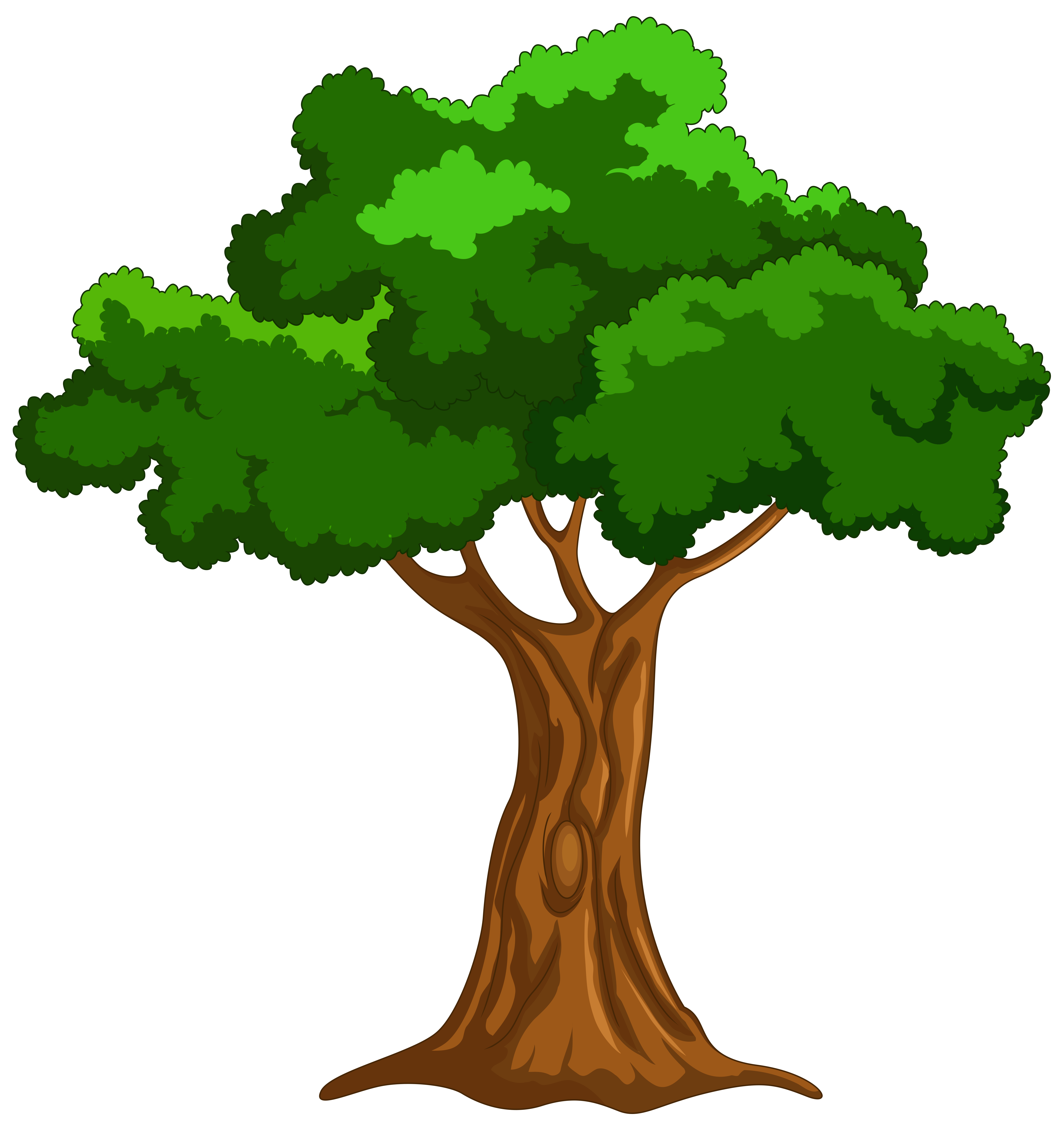 4810x5122 Cartoon Tree Png Clip Art
