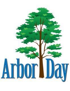 247x320 Niskayuna Arbor Day Town Of Niskayuna Ny