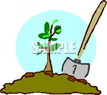 350x310 Planting A Sapling For Arbor Day