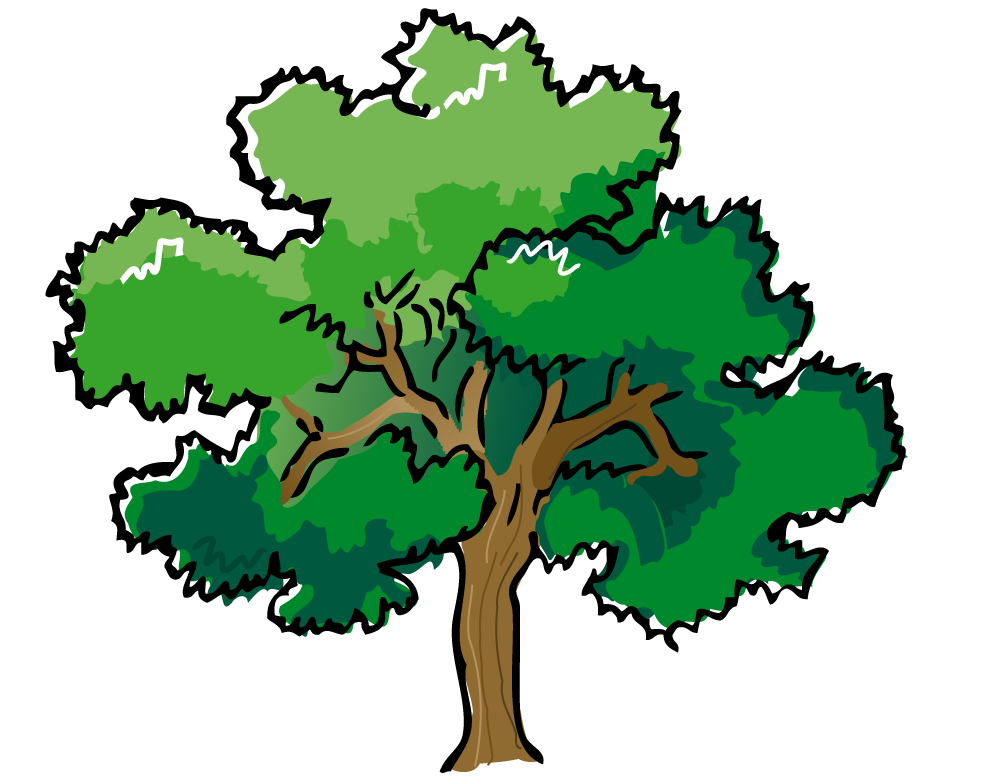 983x784 Web Design Amp Development Tree Outline, Pine Tree And Clip Art