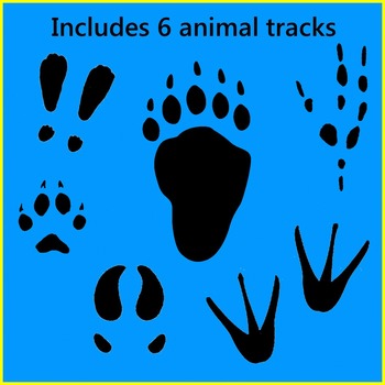 350x350 Arctic Animal Clip Art Sampler {Freebie} By Elizabeth Mccarter Tpt