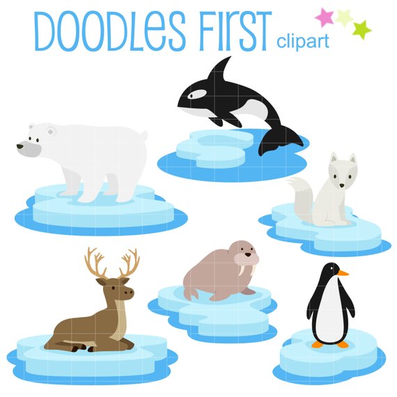 570x570 Arctic Animals On Ice Clip Art For Scrapbooking Card Making
