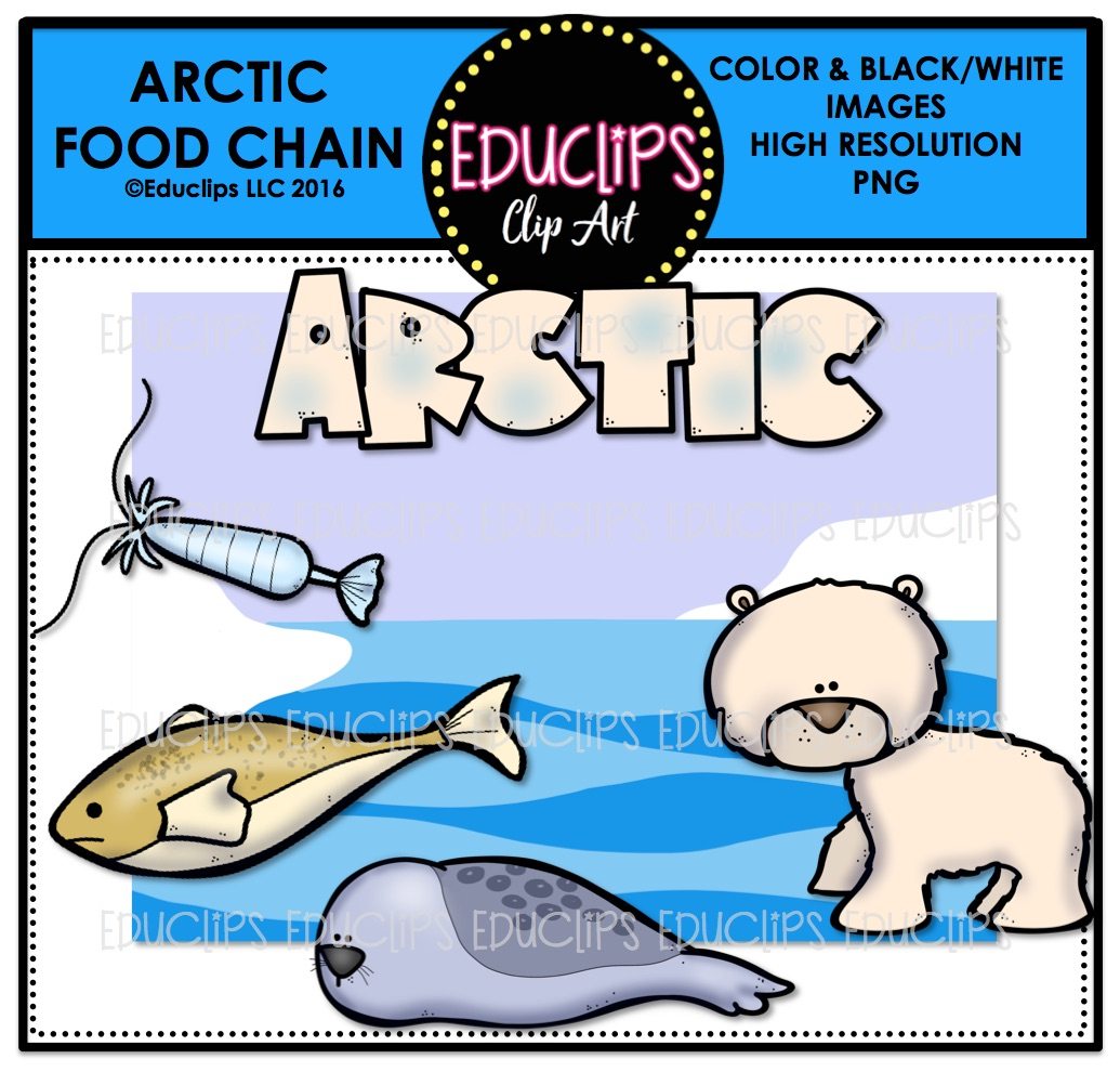 1035x990 Arctic Food Chain Clip Art Mini Bundle (Color And Bampw)