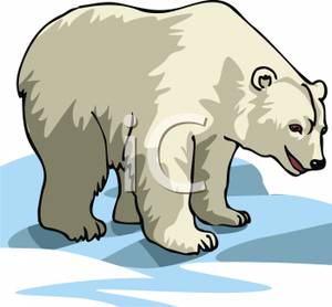Arctic Clipart