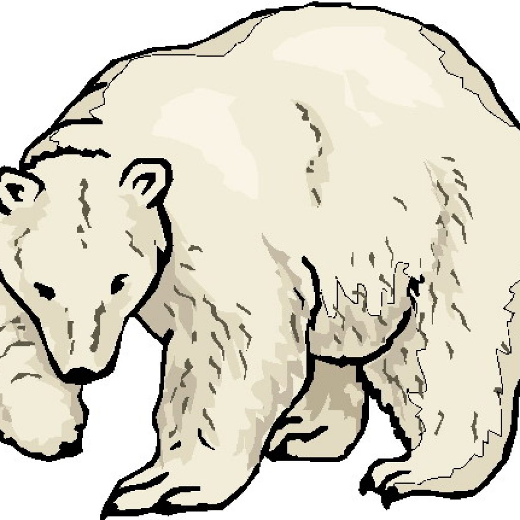 1024x1024 Polar Bear Clipart Heart Clipart