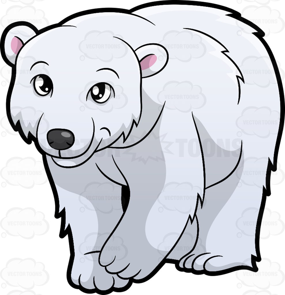 988x1024 Valuable Polar Bear Clipart Clip Art Free Panda Images