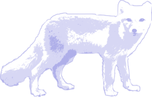 298x192 Arctic Fox Clip Art