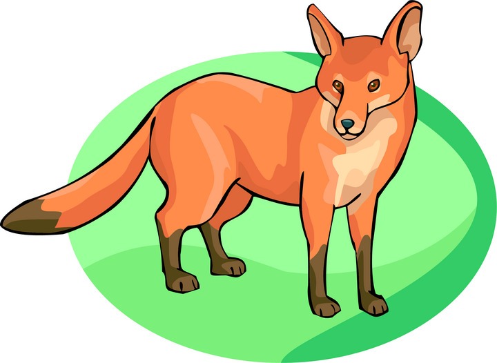 720x526 Free Fox Clipart