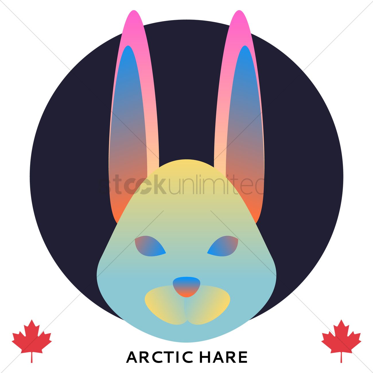 1300x1300 Arctic Hare Vector Image