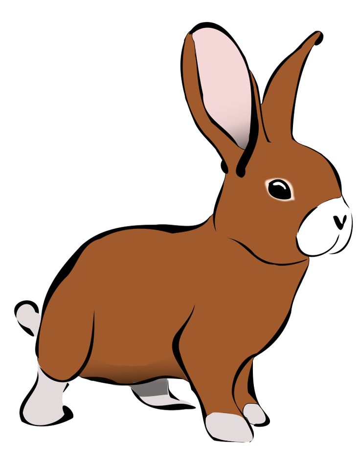 736x957 30 Best Velveteen Rabbit Images On Bunnies, Bunny Art