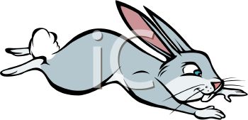 350x169 Top 67 Rabbit Clip Art
