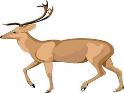 253x190 Arctic Animals Clip Art Free Image