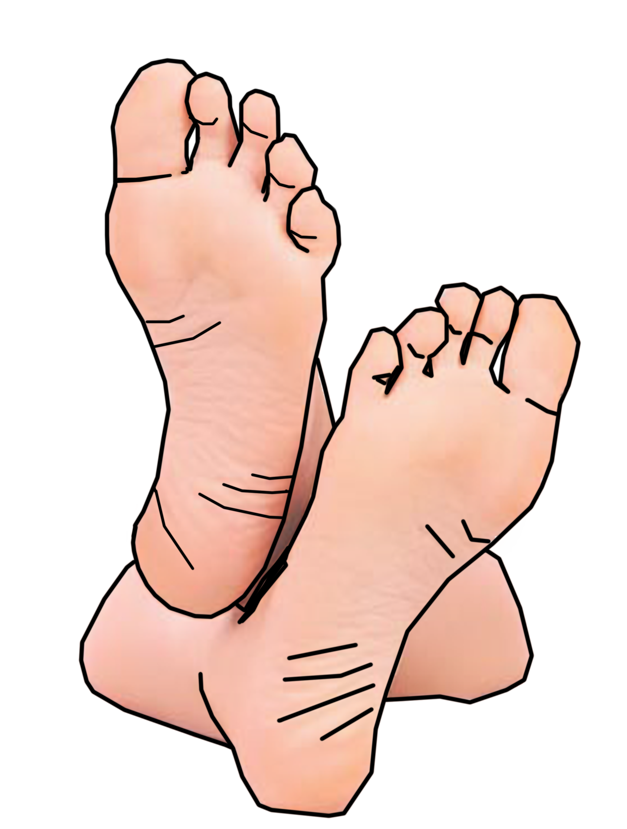 2078x2747 Clipart Foot