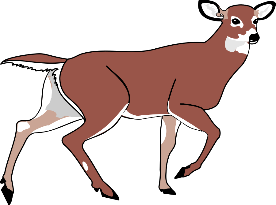 900x670 Free Deer Clip Art Pictures