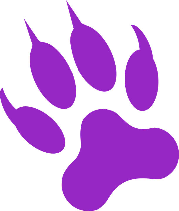 610x720 Wolf Clipart Purple