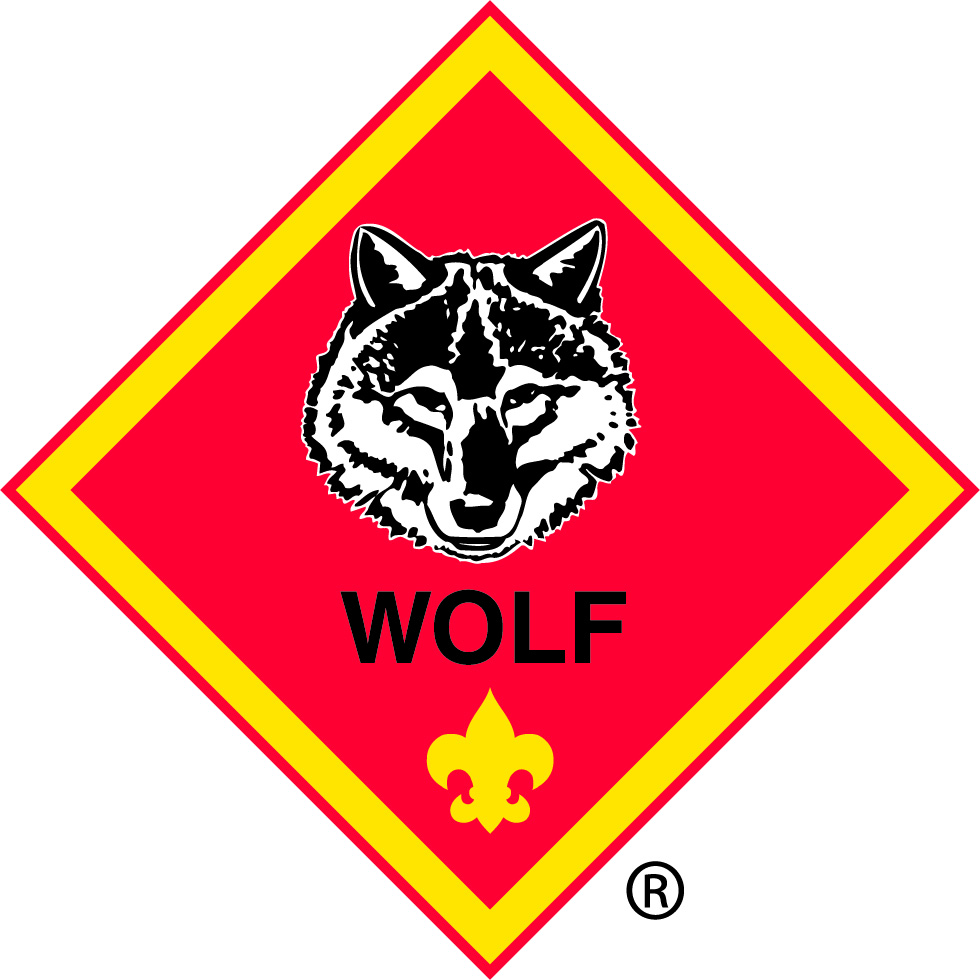 980x980 Wolf Clipart Wolf Cub