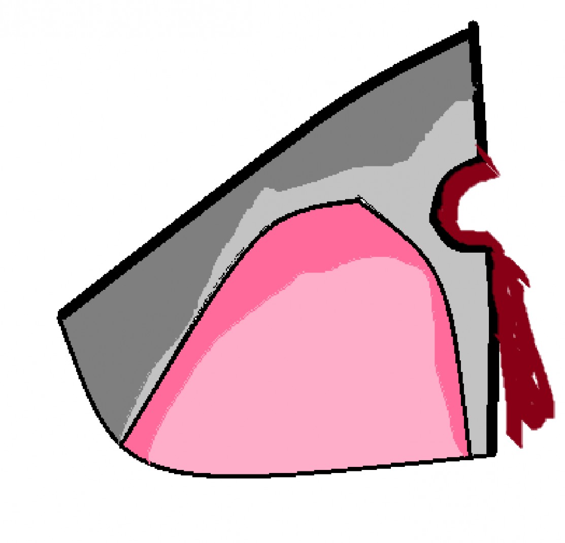 1113x1070 Arctic Wolf Clipart Base Animal Jam Ardiafm