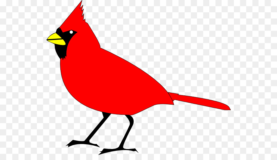 900x520 Northern Cardinal St. Louis Cardinals Clip Art