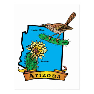 324x324 Wren Clipart Florida