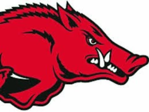 Arkansas Razorbacks Clipart at GetDrawings | Free download