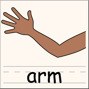 304x304 Clip Art Parts Of The Body Arm Color I Abcteach