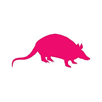 355x355 Armadillo Clipart Opossum 3036815
