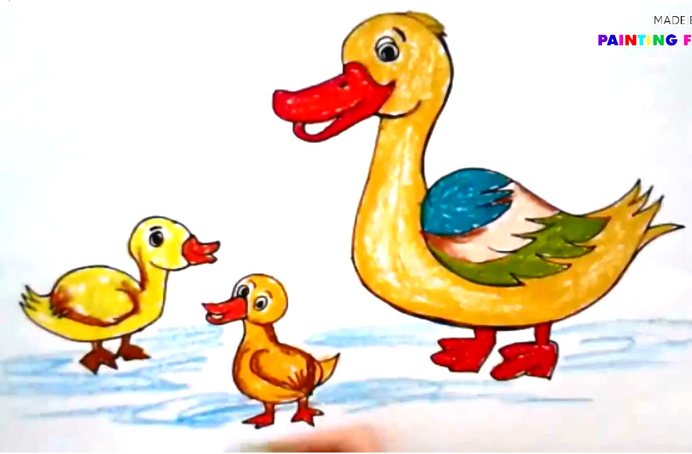 1416x928 Beautiful Duck Pictures For Kids Clip Art Clip