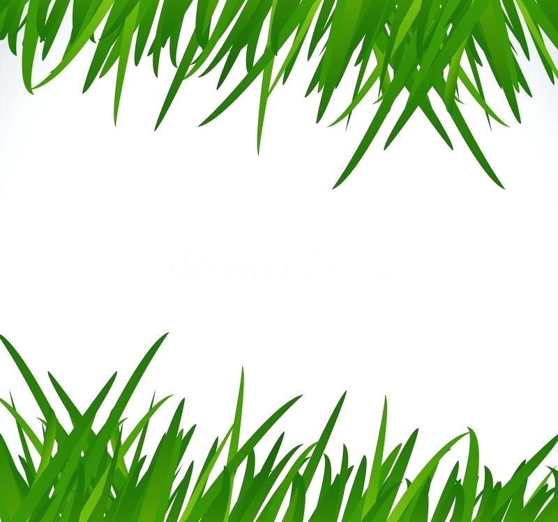 800x749 Green Grass Clip Art Download Green Grass Border Illustration