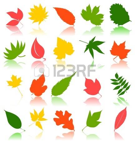 433x450 Ordinary Ash Clipart