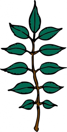215x425 Ash Leaves Clip Art Clipart Panda