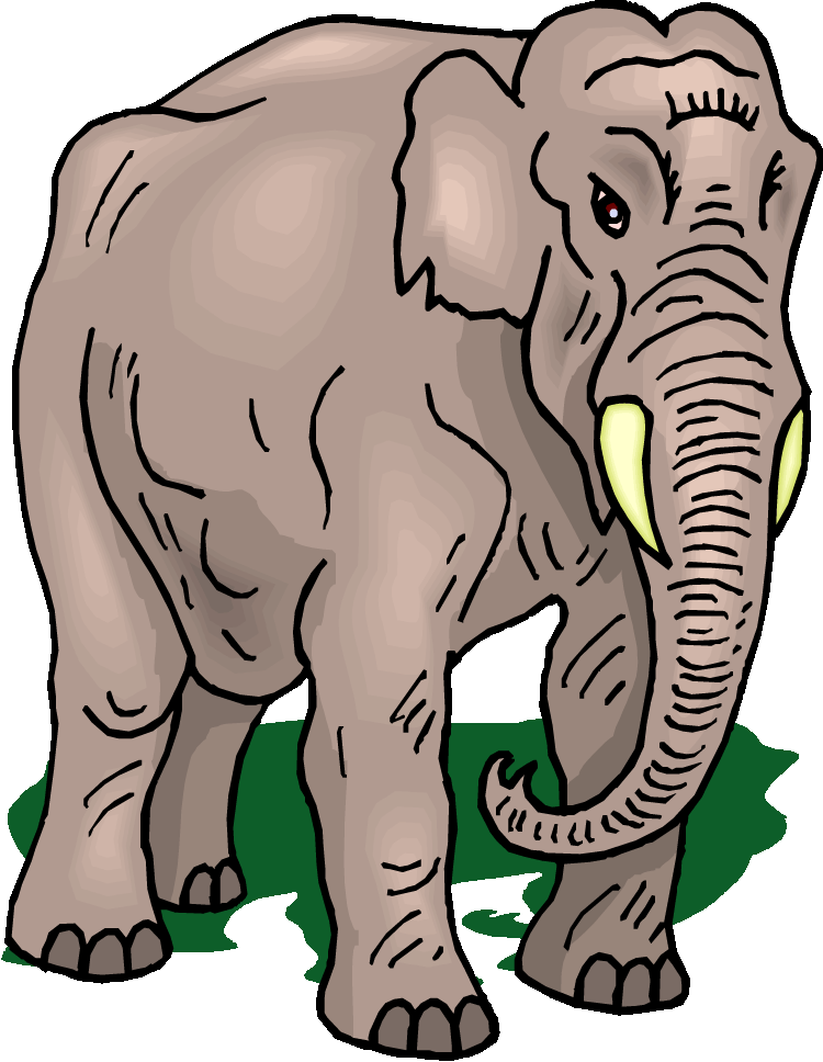 750x968 Asian Elephant Clipart Grey