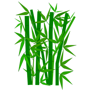 300x300 Bamboo Border Clipart Free 8616062