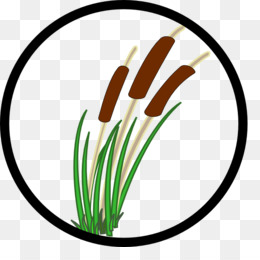 260x260 Plant Stem Clip Art