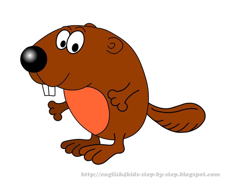 736x610 Beaver Clipart Hut